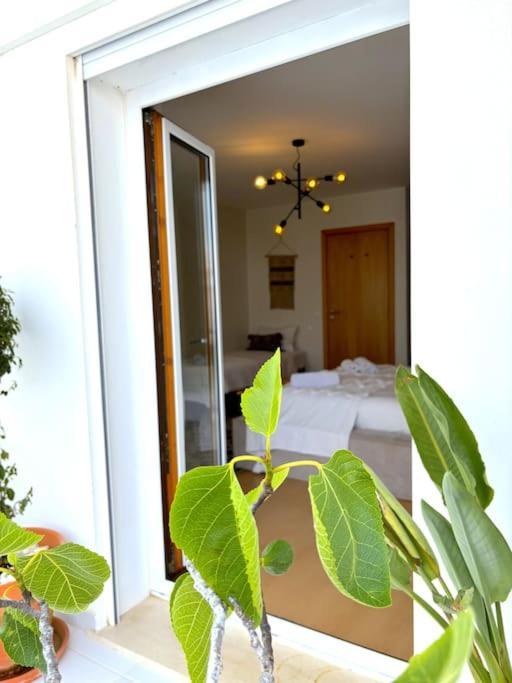 Nazare Boutique W Sea View And Private Rooftop Terace Exterior foto